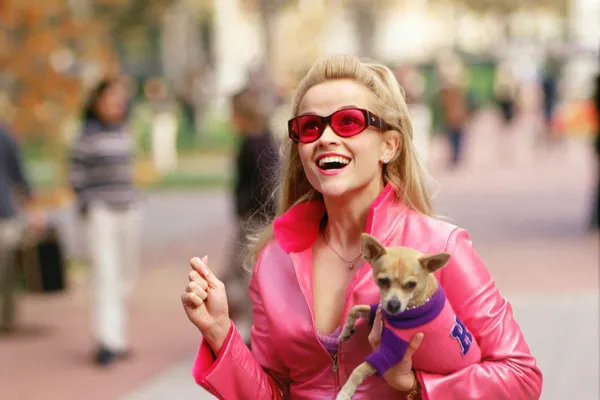 Cast of Legally Blonde: Where Are They Now?