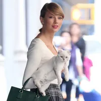 Cute Alert: Taylor Swift's 15 Most Adorable Cat Photos