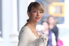 Cute Alert: Taylor Swift’s 15 Most Adorable Cat Photos