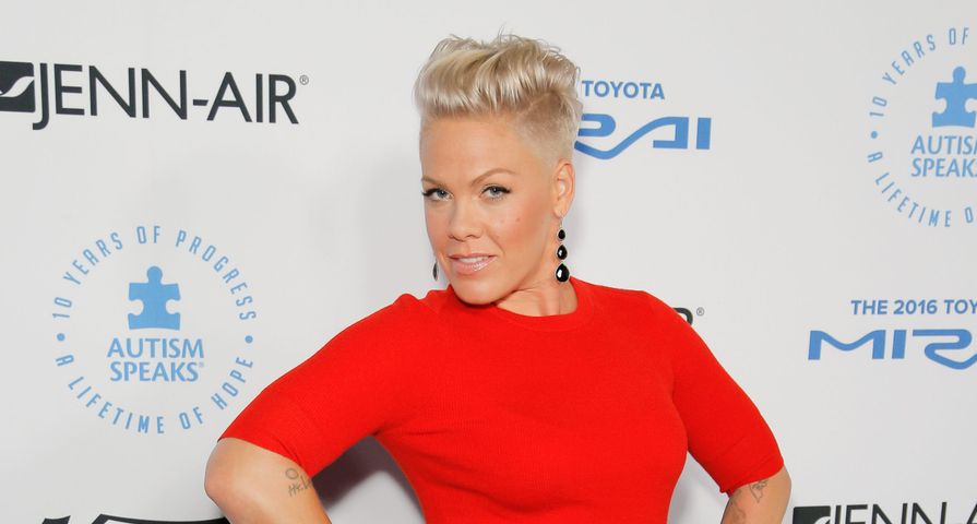 Things You Might Not Know About Singer Pink Fame10