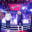 The Voice Coaches Past & Present: How Much Are They Worth?