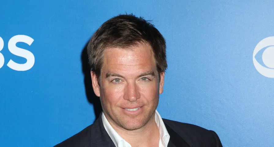 Things You Might Not Know About Former 'NCIS' Star Michael Weatherly ...