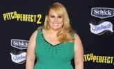 Things You Might Not Know About Rebel Wilson