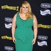 Things You Might Not Know About Rebel Wilson.