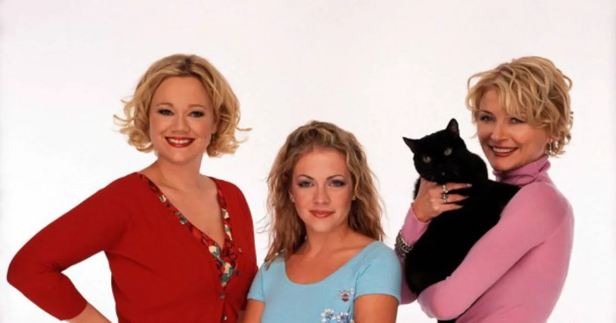 Cast of Sabrina the Teenage Witch: Where are they now?