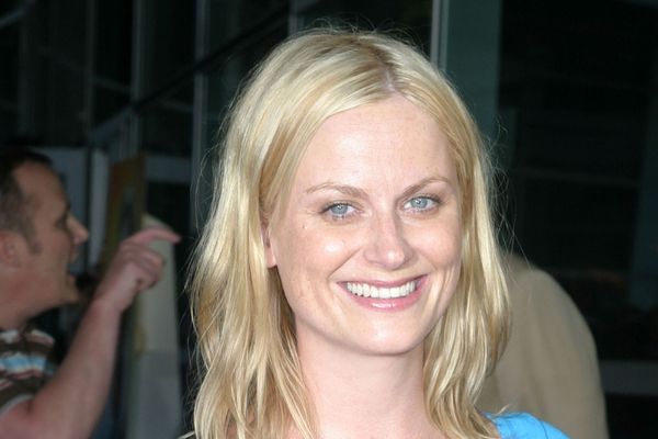 Things You Might Not Know About Amy Poehler