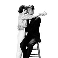 Things You Might Not Know About The Dick Van Dyke Show