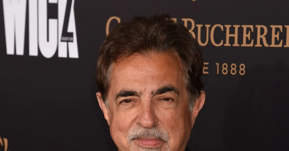Things You Might Not Know About Criminal Minds Star Joe Mantegna - Fame10