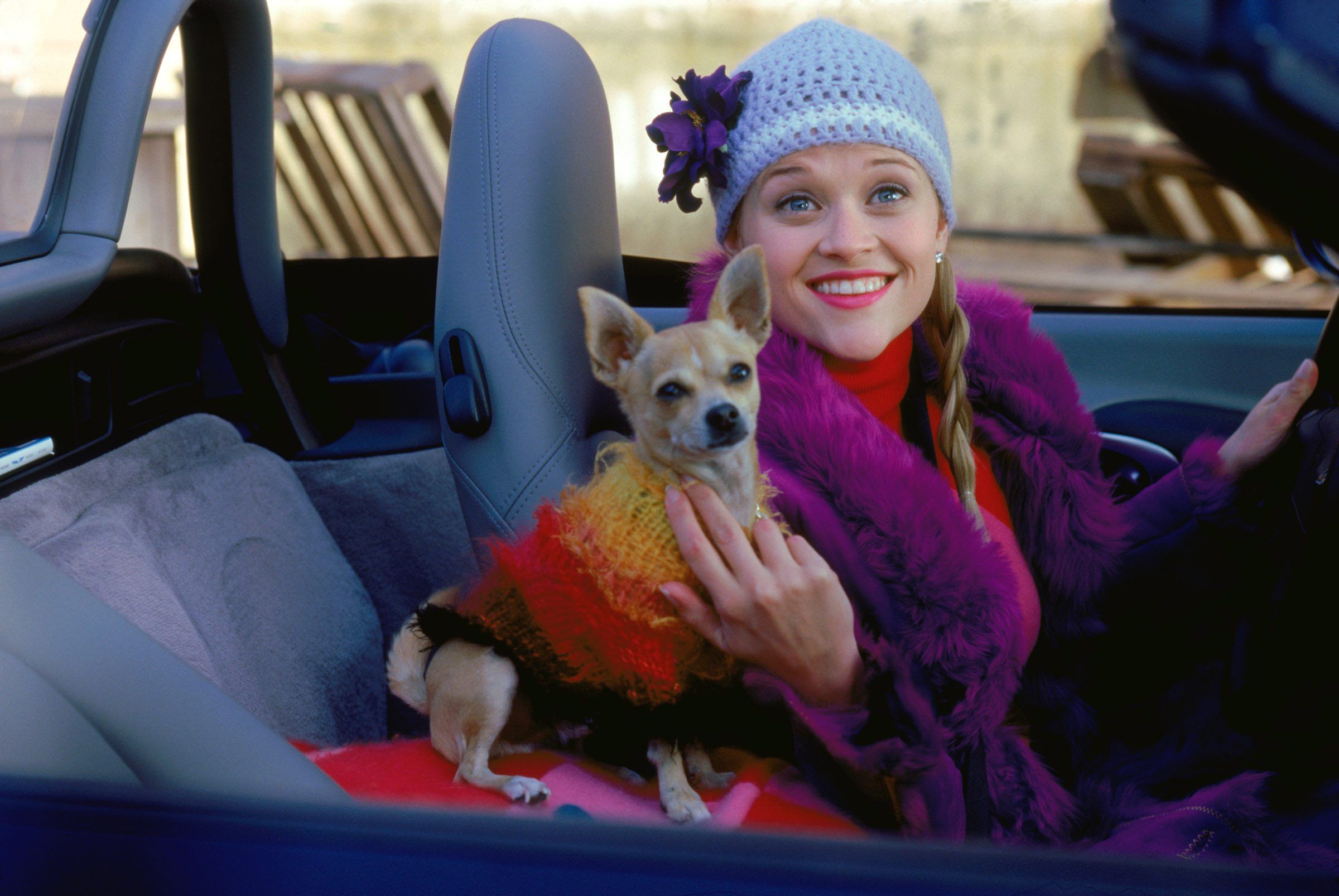 Movie Quiz: How Well Do You Remember Legally Blonde? 