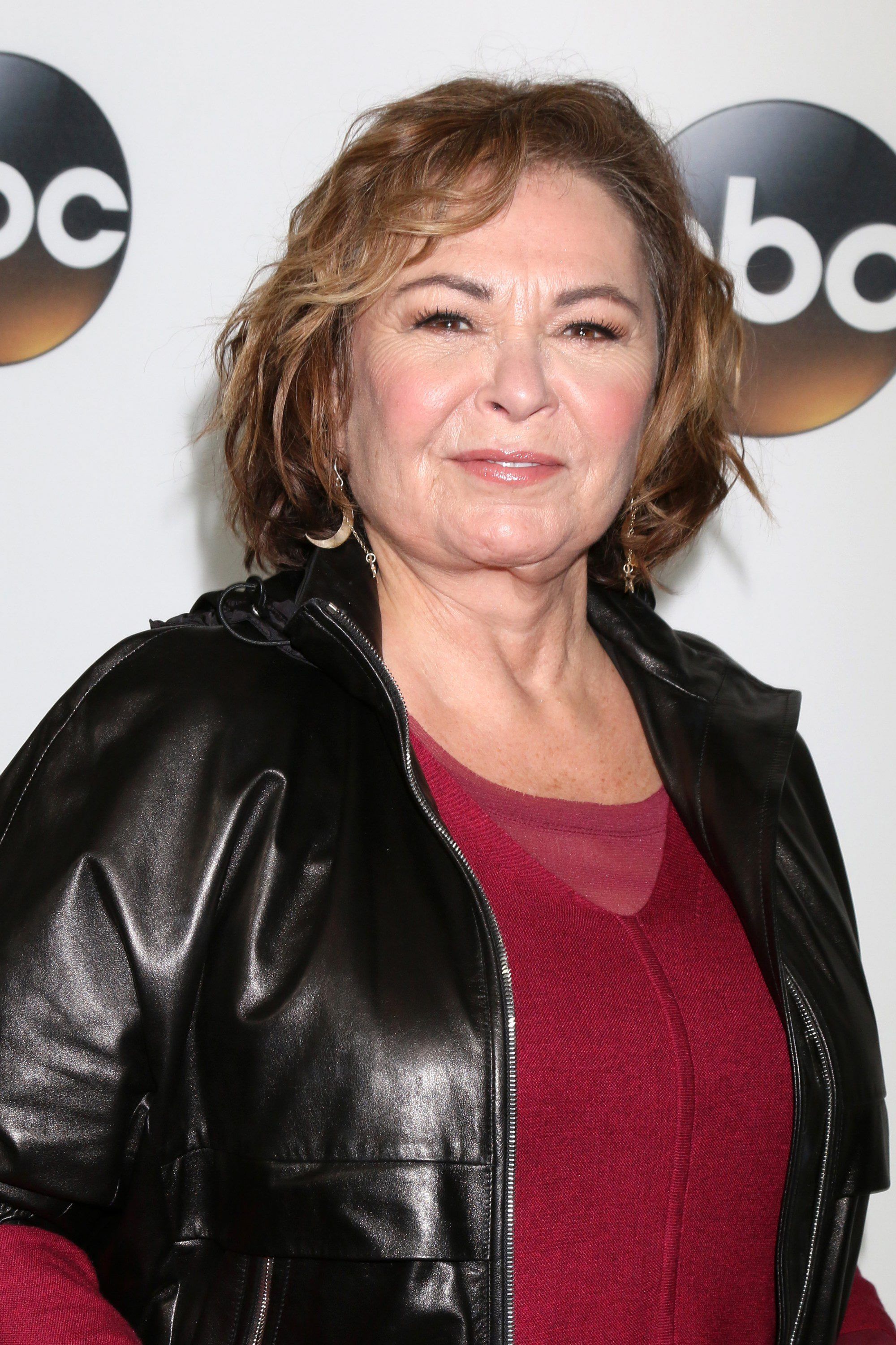 Things You Didn T Know About Roseanne Barr Fame10