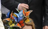 The Most Outrageous Royal Wedding Hats Of All Time