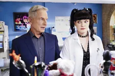 Mark Harmon’s Dog Allegedly Caused Rift With Pauley Perrette On NCIS Set