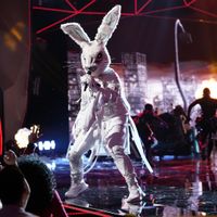 Fox's Hit Series The Masked Singer: Everything You Need To Know