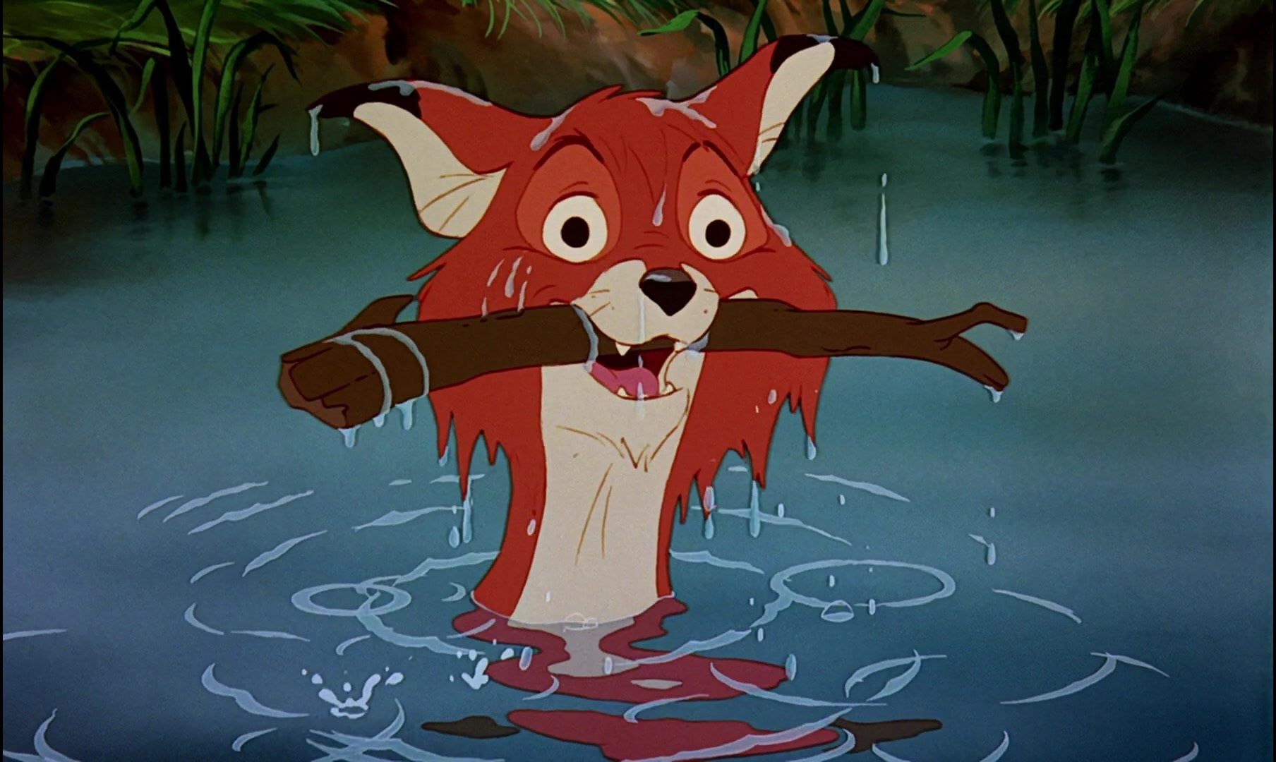 Quiz: How Well Do You Remember Disney's The Fox And The Hound? - Fame10