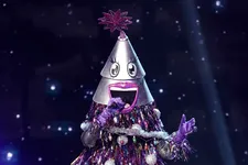 The Masked Singer Reveals The Celebrity Behind Tree