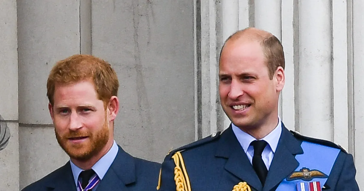 Prince Harry And Prince William Divide Princess Diana's Memorial Fund