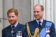 Prince Harry And Prince William Divide Princess Diana’s Memorial Fund