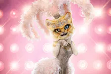 ‘The Masked Singer’ Reveals Celebrity Behind Kitty